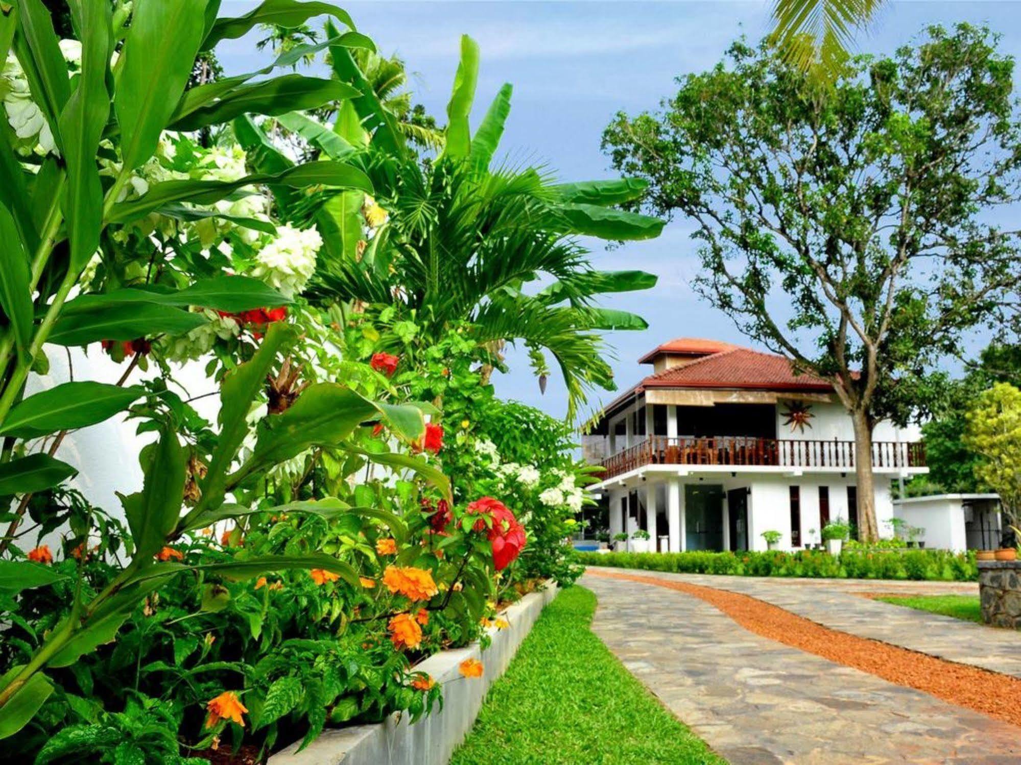 Rockery Villa Ayurveda Bentota Exterior foto